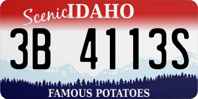 ID license plate 3B4113S
