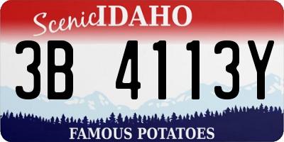 ID license plate 3B4113Y