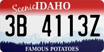 ID license plate 3B4113Z