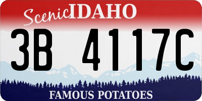 ID license plate 3B4117C