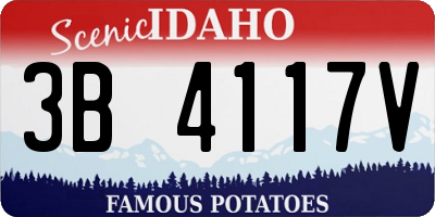 ID license plate 3B4117V