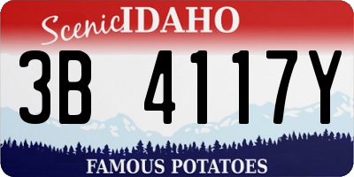 ID license plate 3B4117Y