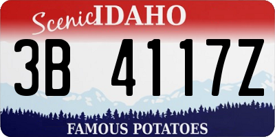 ID license plate 3B4117Z