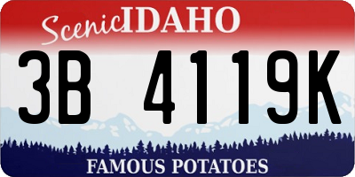 ID license plate 3B4119K