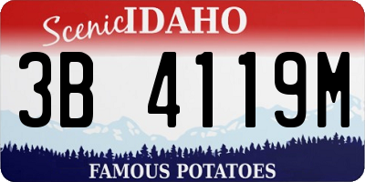 ID license plate 3B4119M