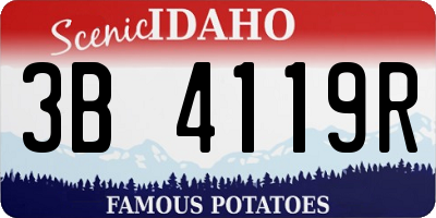ID license plate 3B4119R