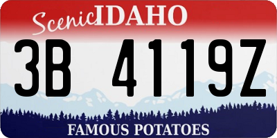 ID license plate 3B4119Z