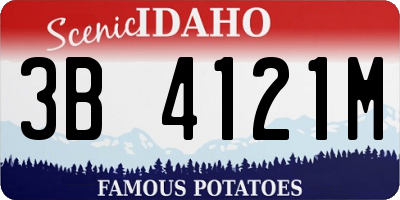 ID license plate 3B4121M