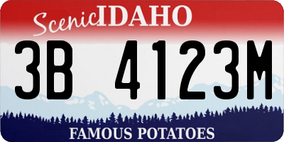 ID license plate 3B4123M