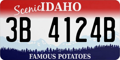 ID license plate 3B4124B
