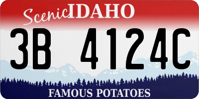 ID license plate 3B4124C
