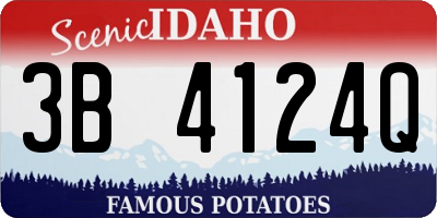 ID license plate 3B4124Q