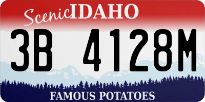 ID license plate 3B4128M
