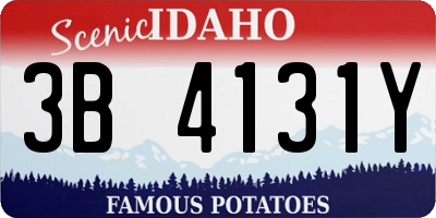 ID license plate 3B4131Y