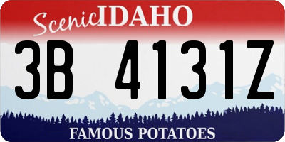 ID license plate 3B4131Z
