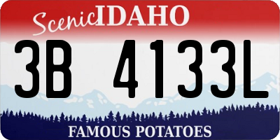 ID license plate 3B4133L