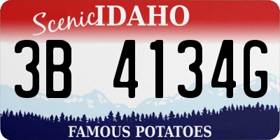 ID license plate 3B4134G