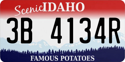 ID license plate 3B4134R