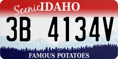 ID license plate 3B4134V