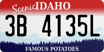 ID license plate 3B4135L