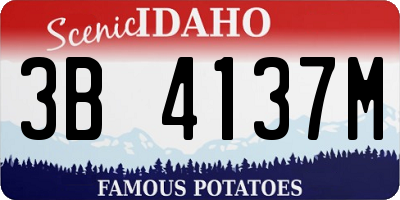 ID license plate 3B4137M