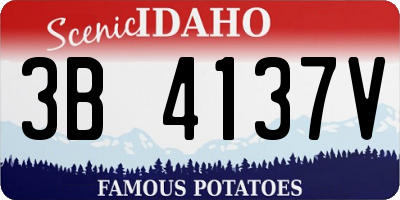 ID license plate 3B4137V