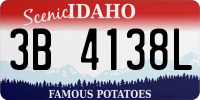 ID license plate 3B4138L