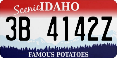 ID license plate 3B4142Z