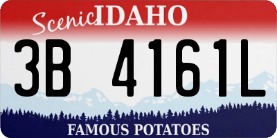 ID license plate 3B4161L