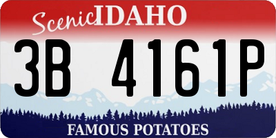 ID license plate 3B4161P