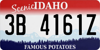 ID license plate 3B4161Z