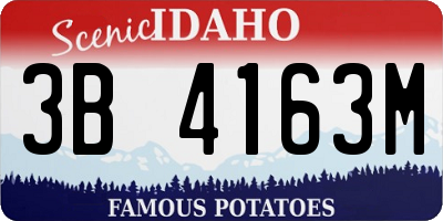ID license plate 3B4163M