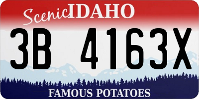 ID license plate 3B4163X