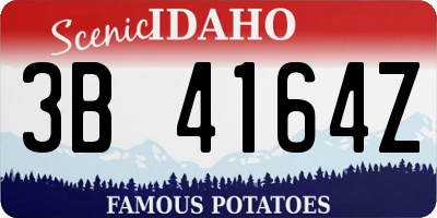 ID license plate 3B4164Z