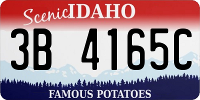 ID license plate 3B4165C