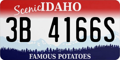 ID license plate 3B4166S
