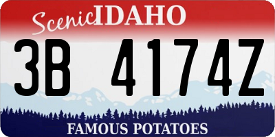 ID license plate 3B4174Z