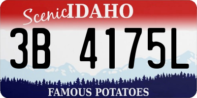 ID license plate 3B4175L