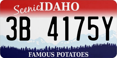 ID license plate 3B4175Y