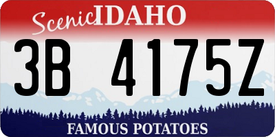 ID license plate 3B4175Z