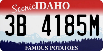 ID license plate 3B4185M