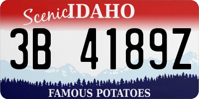 ID license plate 3B4189Z