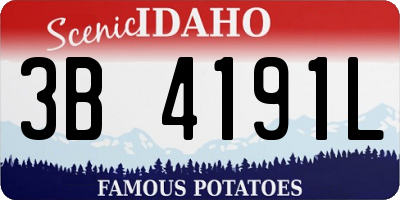 ID license plate 3B4191L