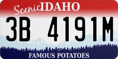 ID license plate 3B4191M