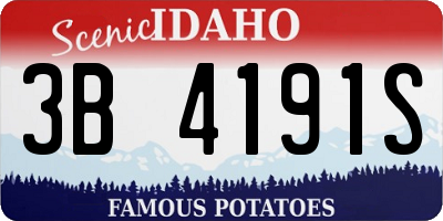 ID license plate 3B4191S