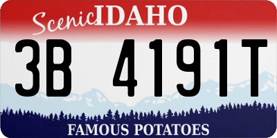 ID license plate 3B4191T