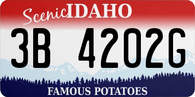 ID license plate 3B4202G