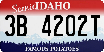 ID license plate 3B4202T