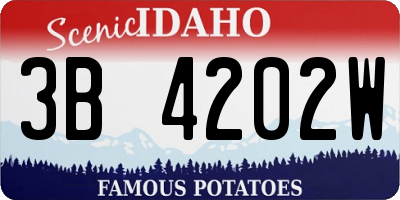 ID license plate 3B4202W