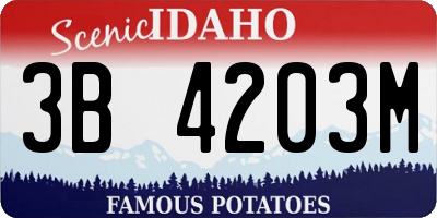 ID license plate 3B4203M